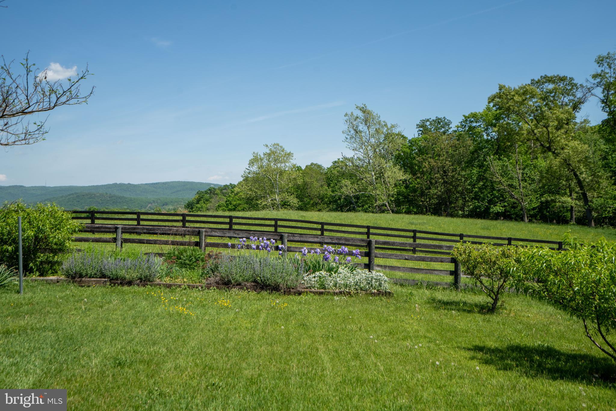 1019 Chilly Hollow Rd