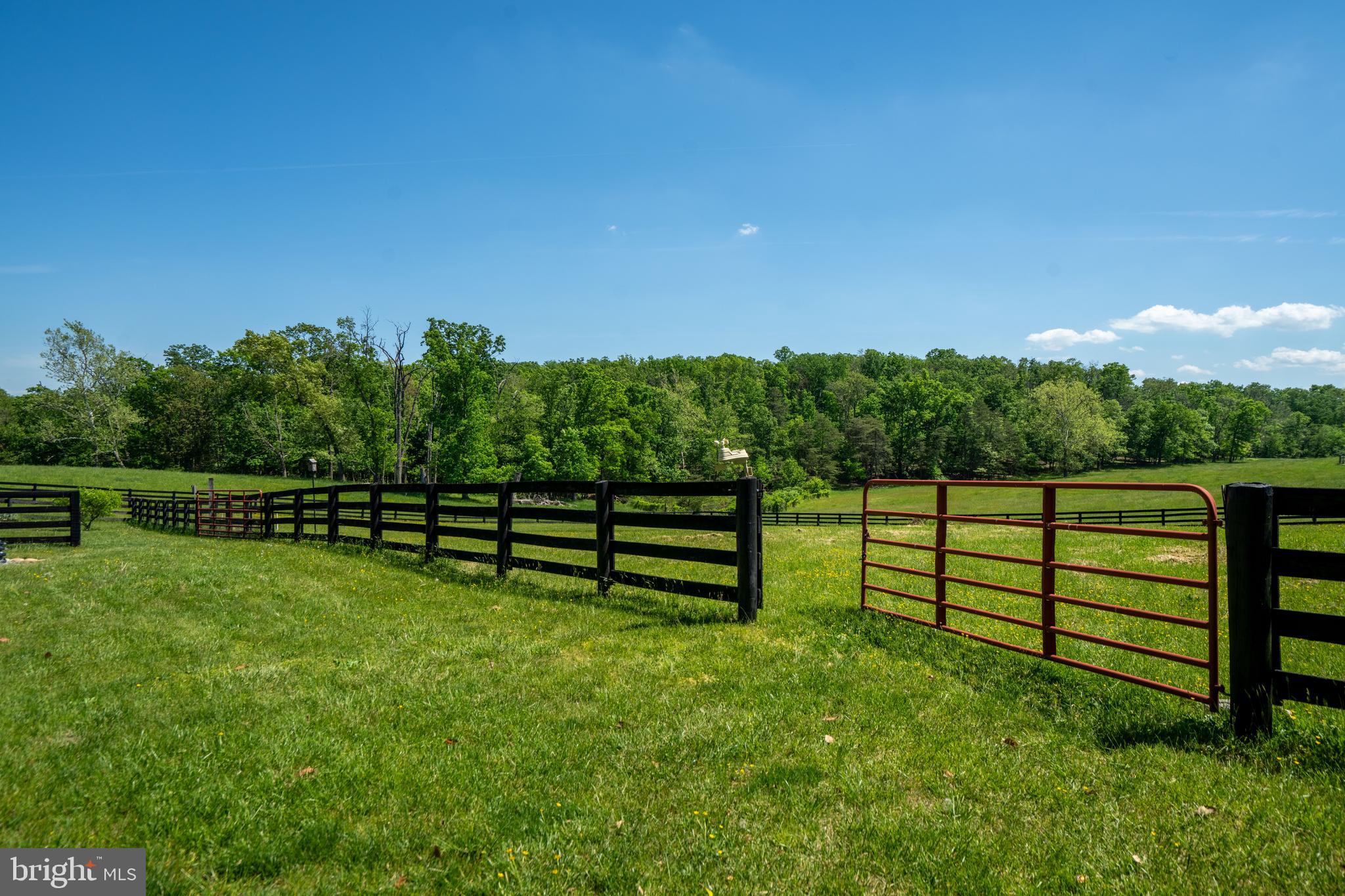 1019 Chilly Hollow Rd