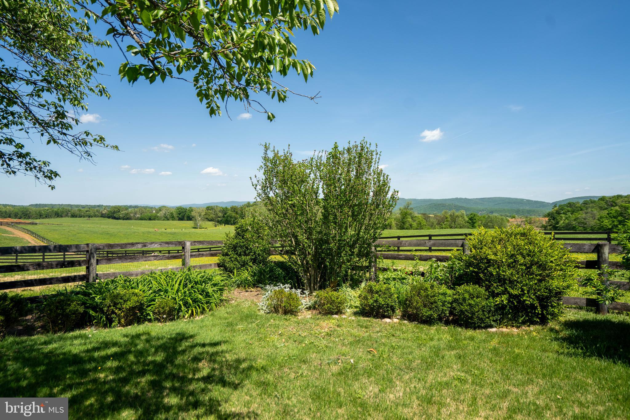 1019 Chilly Hollow Rd