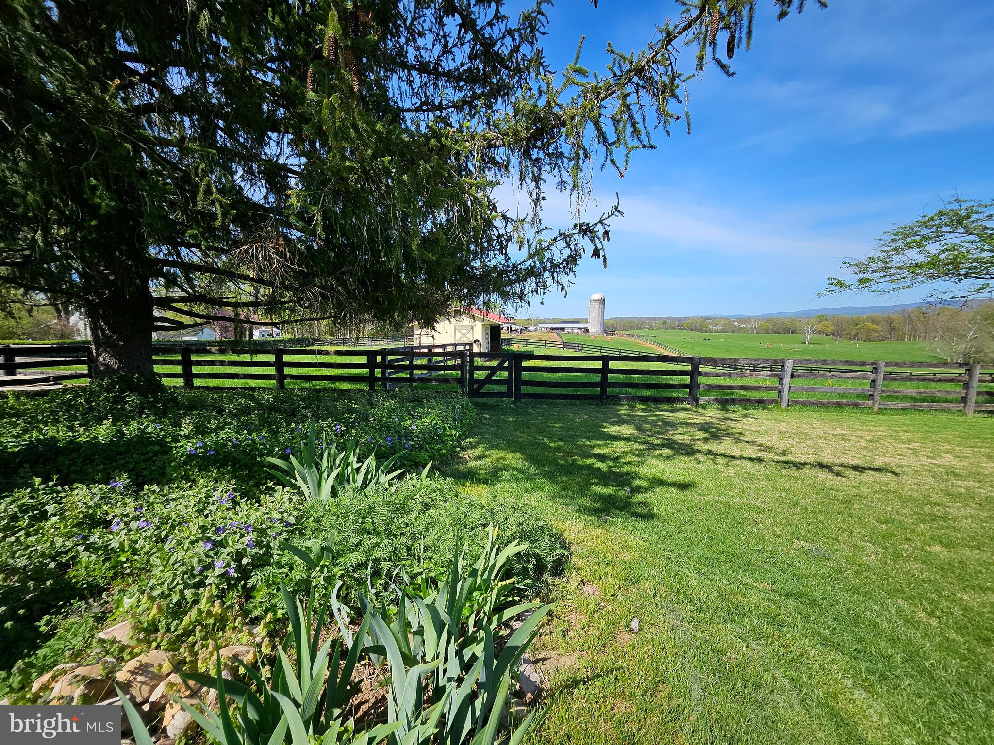 1019 Chilly Hollow Rd