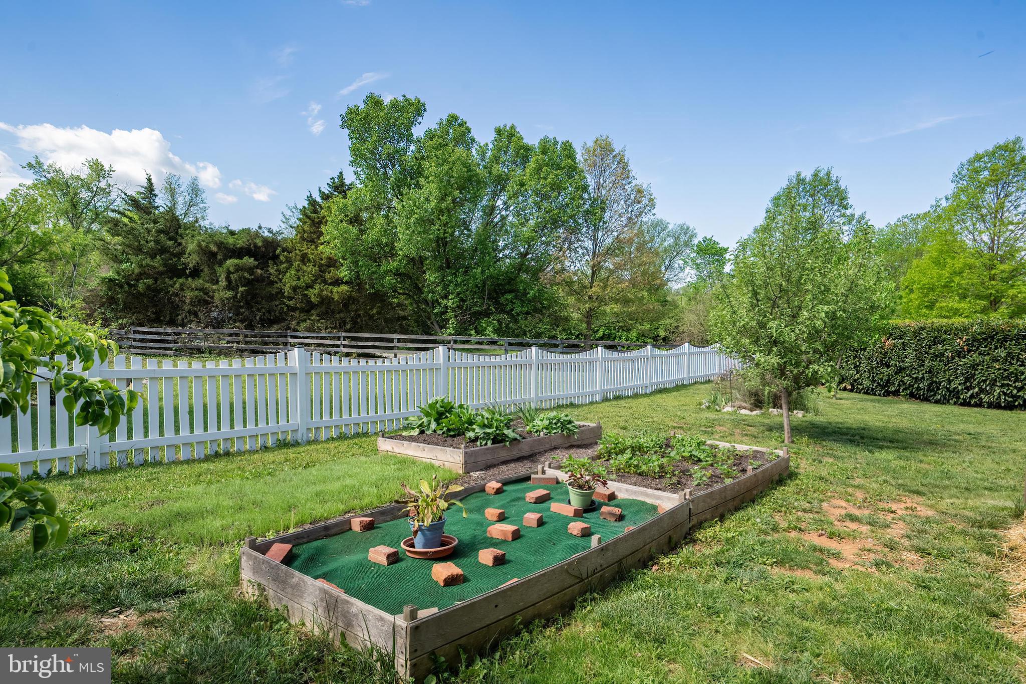 209 Jolliffe Cir