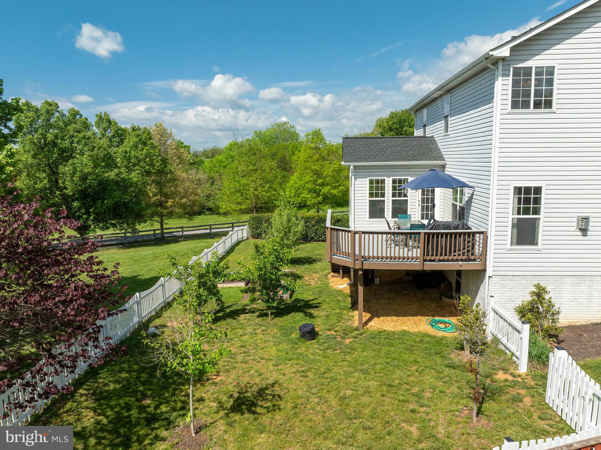 209 Jolliffe Cir