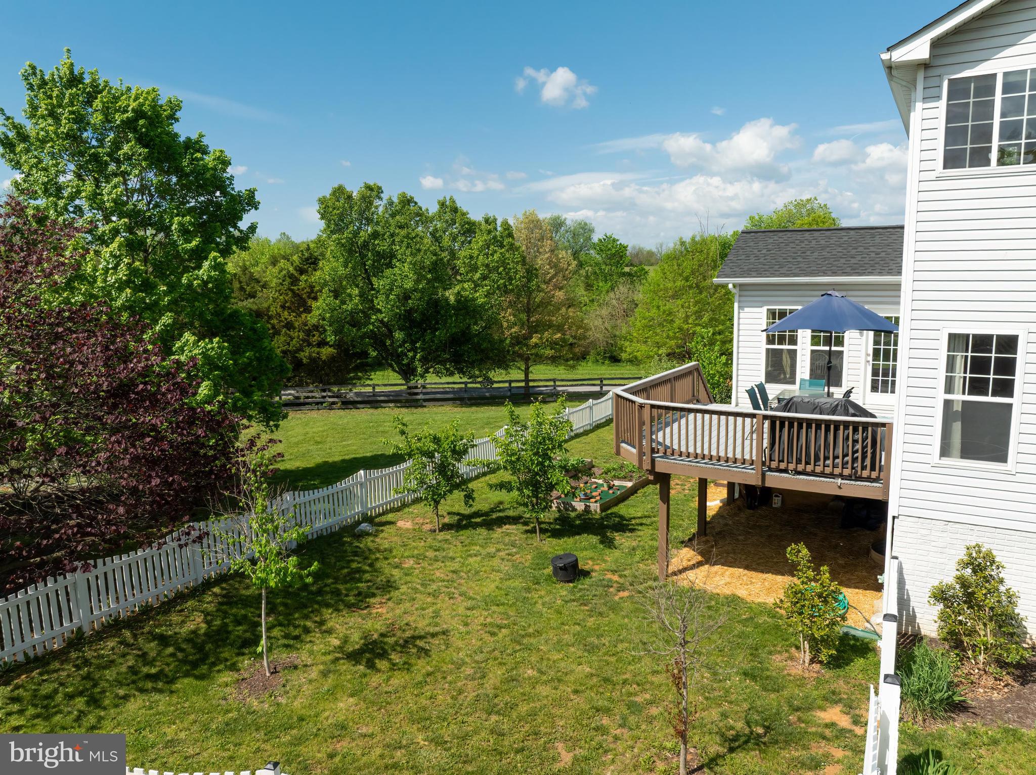 209 Jolliffe Cir