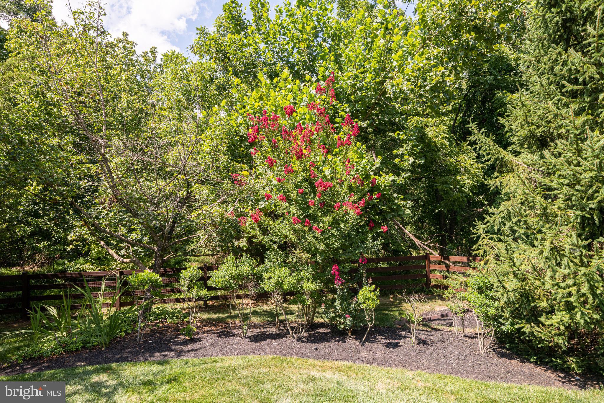 24199 Heather Field Court