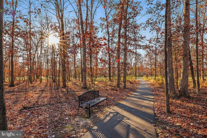 23230 Milltown Knoll Square Unit: 106