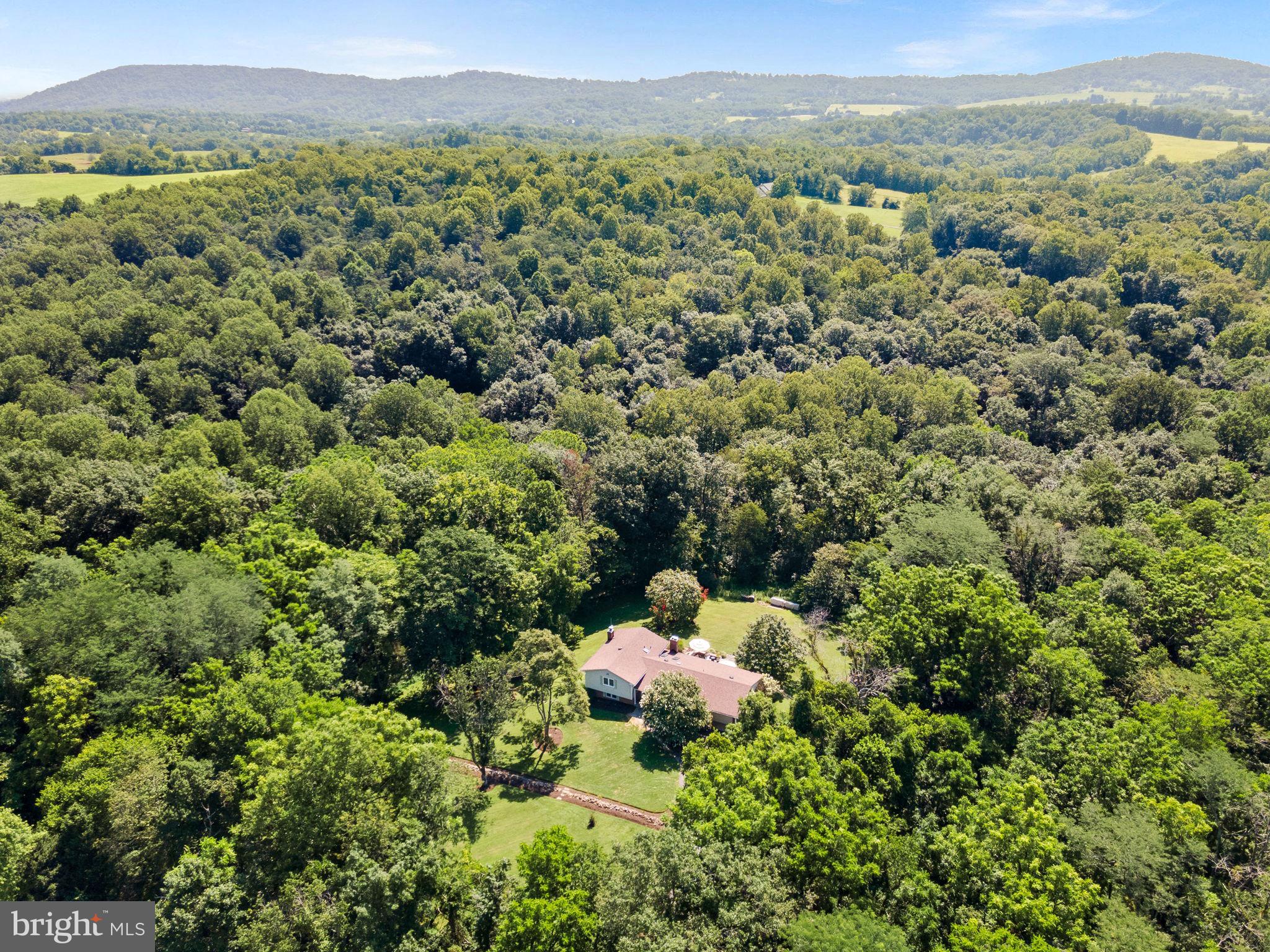 13136 Orrison Rd