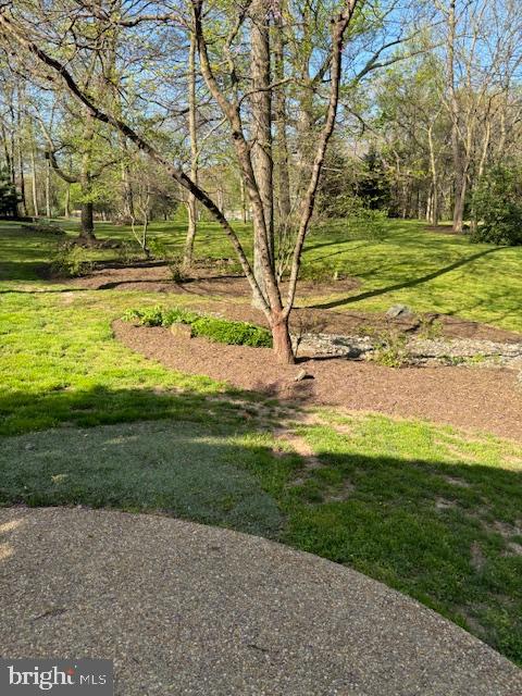 4237 Lawnvale Dr