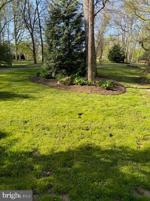 4237 Lawnvale Dr