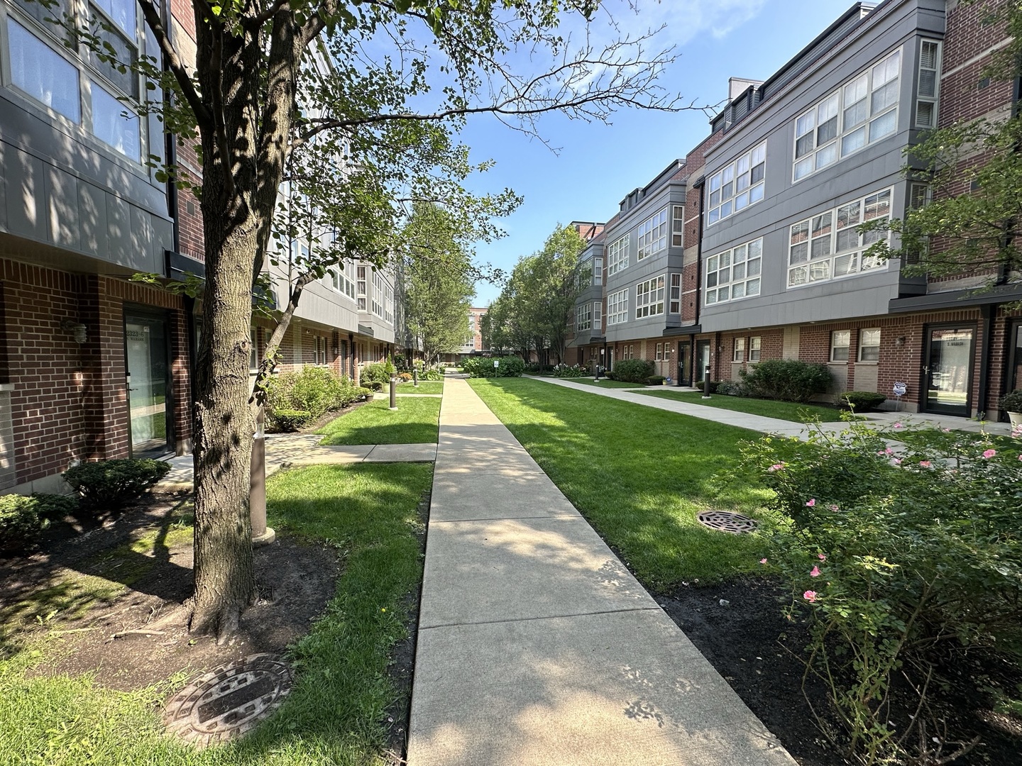 2323 S Wabash Avenue Unit: 7