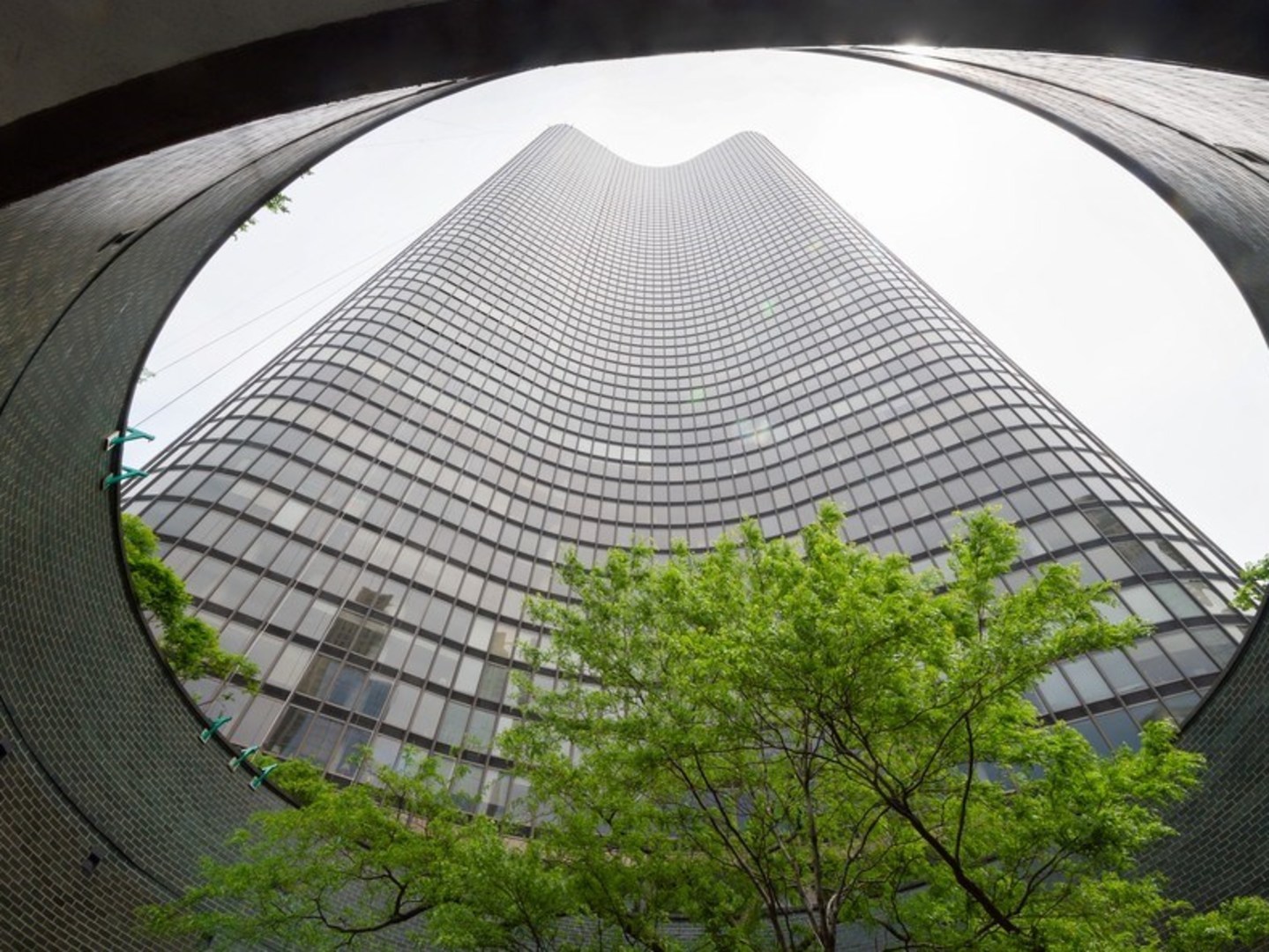 505 N Lake Shore Drive Unit: 4205