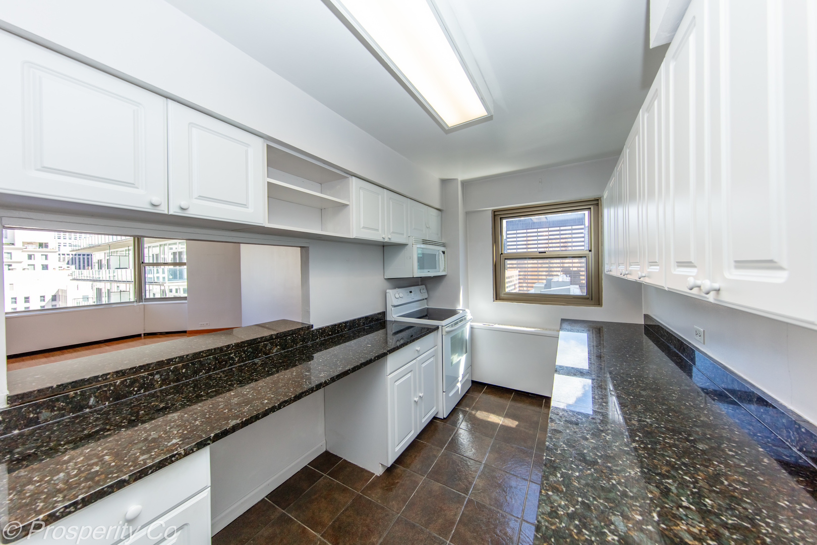 535 N Michigan Avenue Unit: 2809