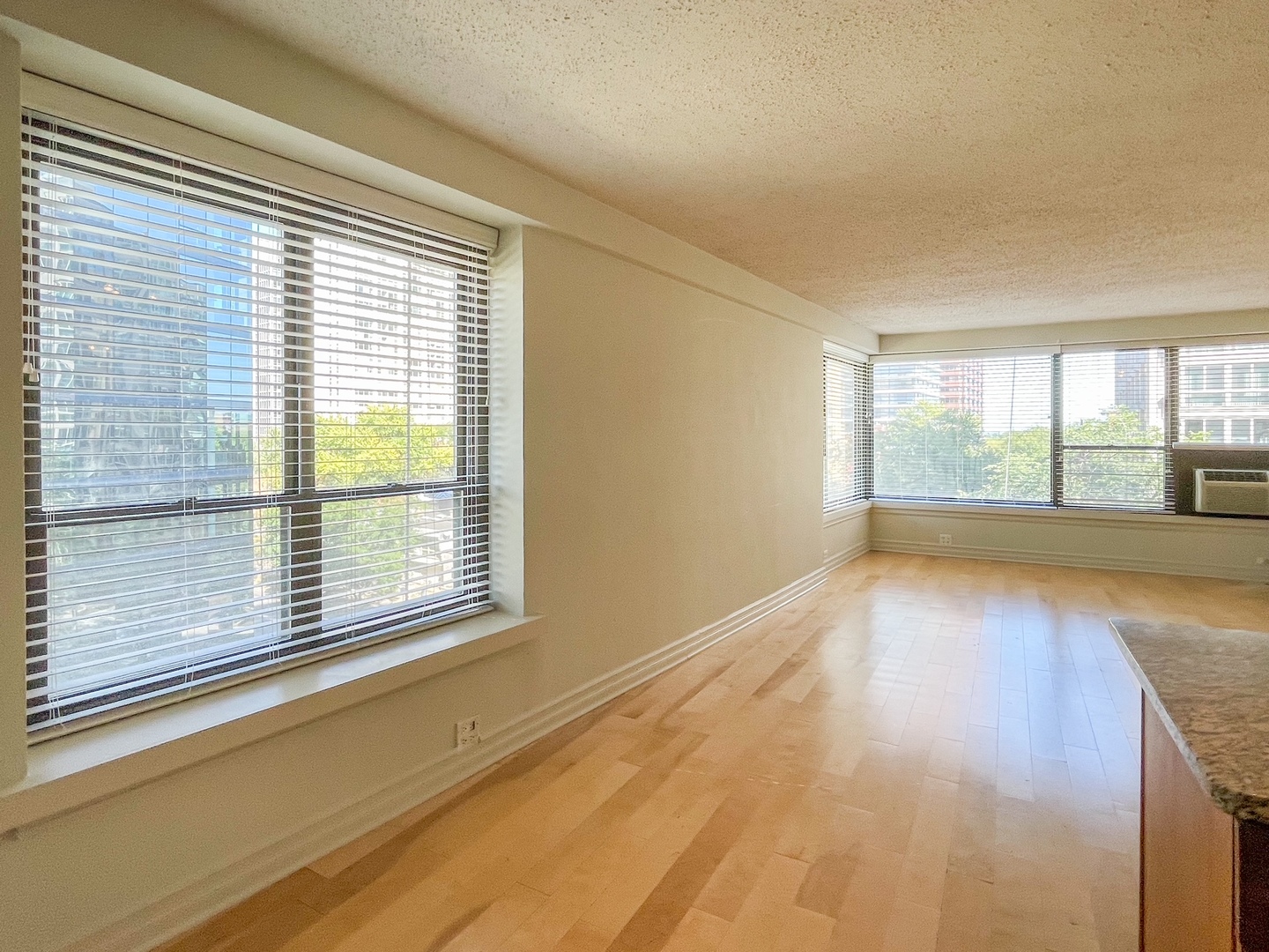 2930 N SHERIDAN Road Unit: 607