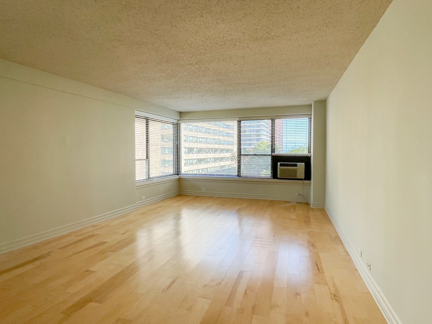 2930 N SHERIDAN Road Unit: 607
