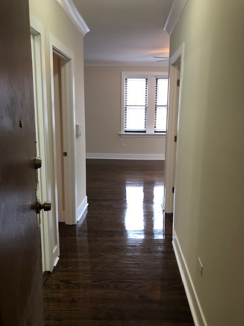 839 W Cornelia Avenue Unit: 1N