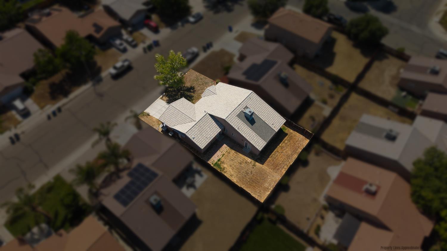 113 Palomino Street