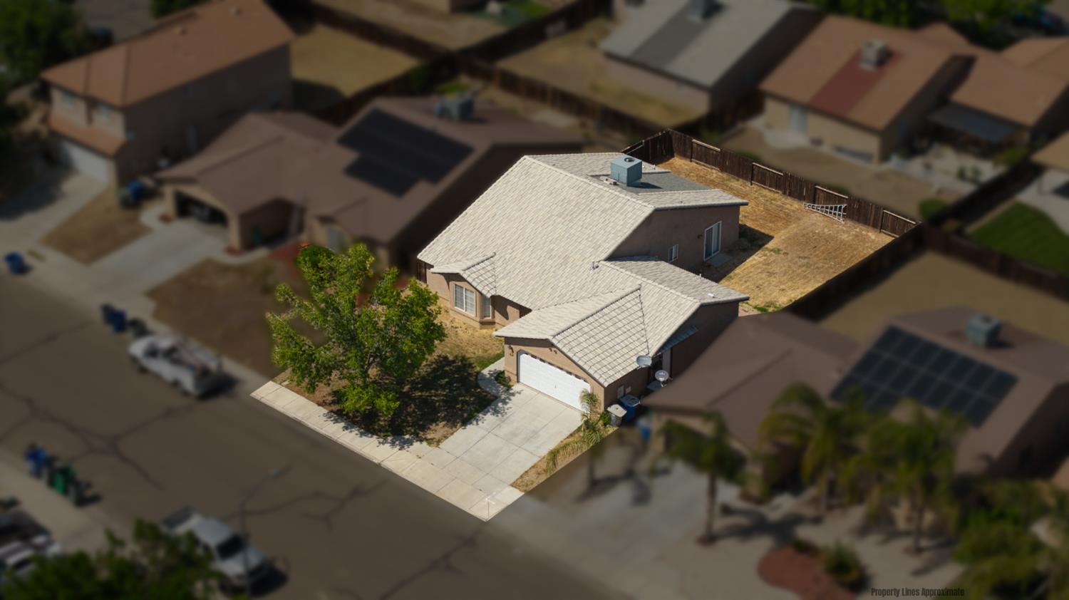 113 Palomino Street