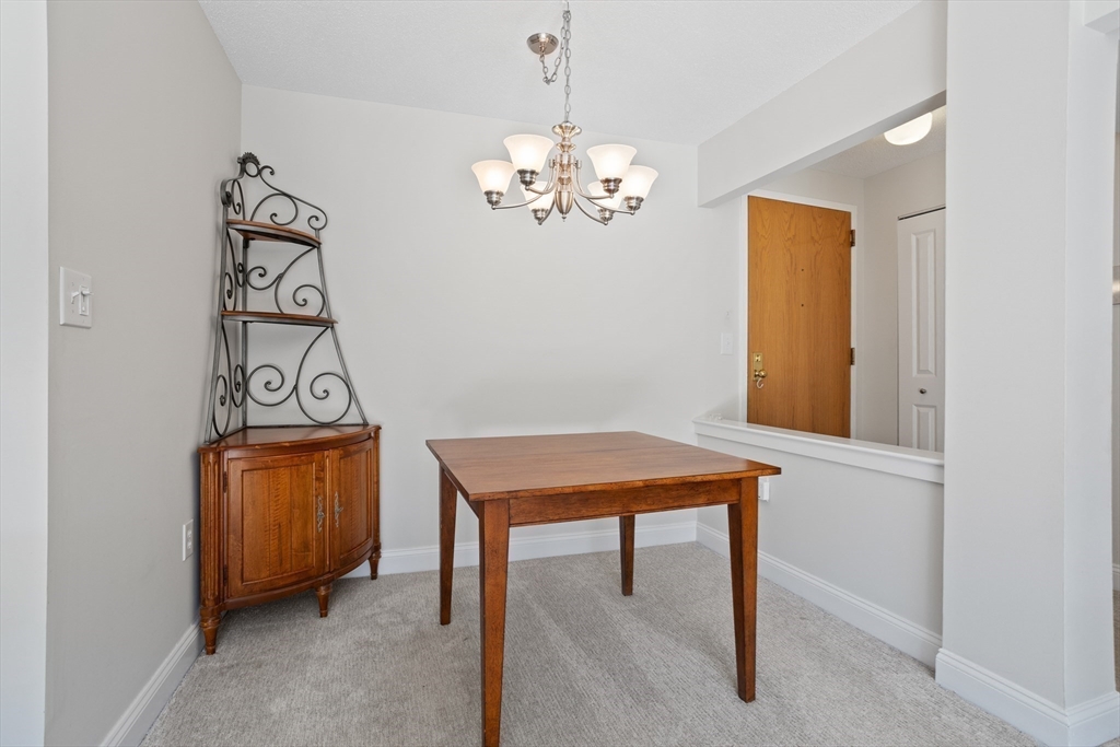 273 Cambridge Rd # 509