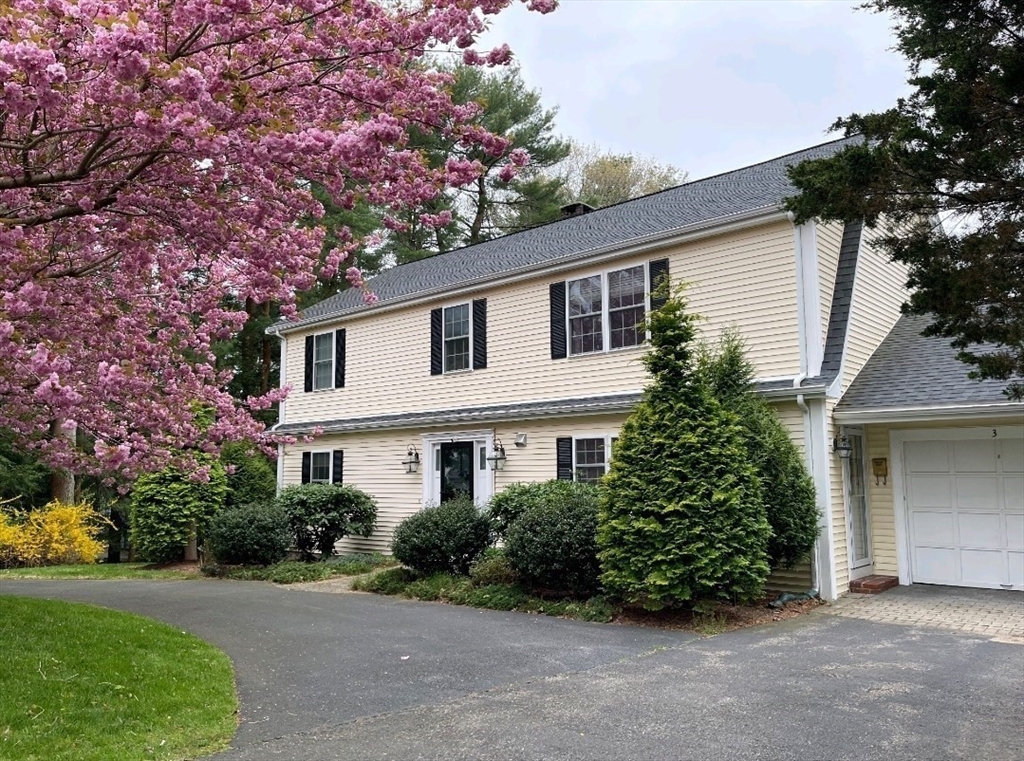 3 Birchtree Dr