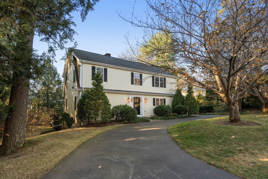 3 Birchtree Dr