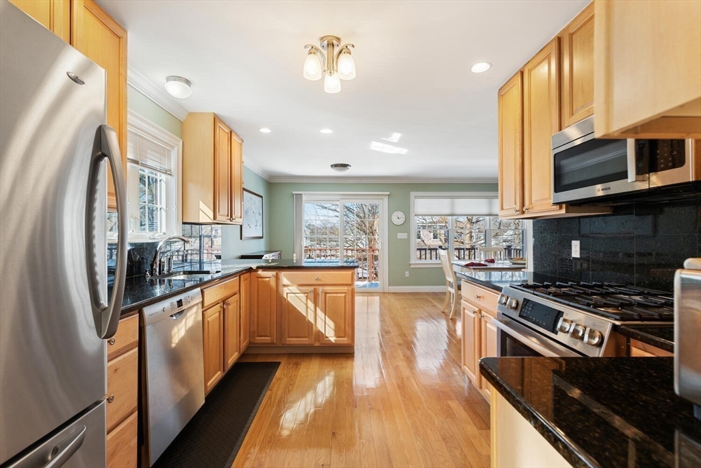 64 Wilmot St # 64