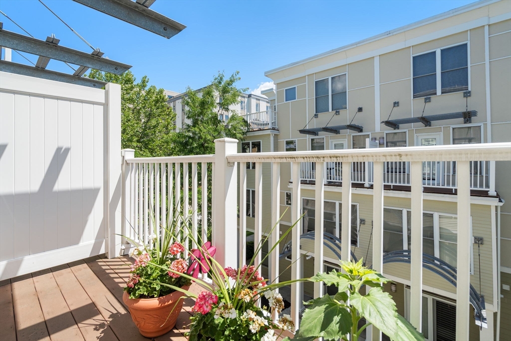 31 Wheeler Street # 303