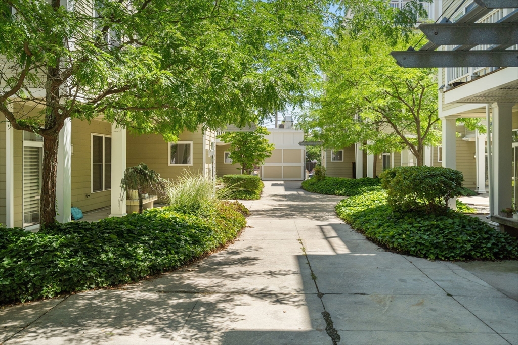 31 Wheeler Street # 303