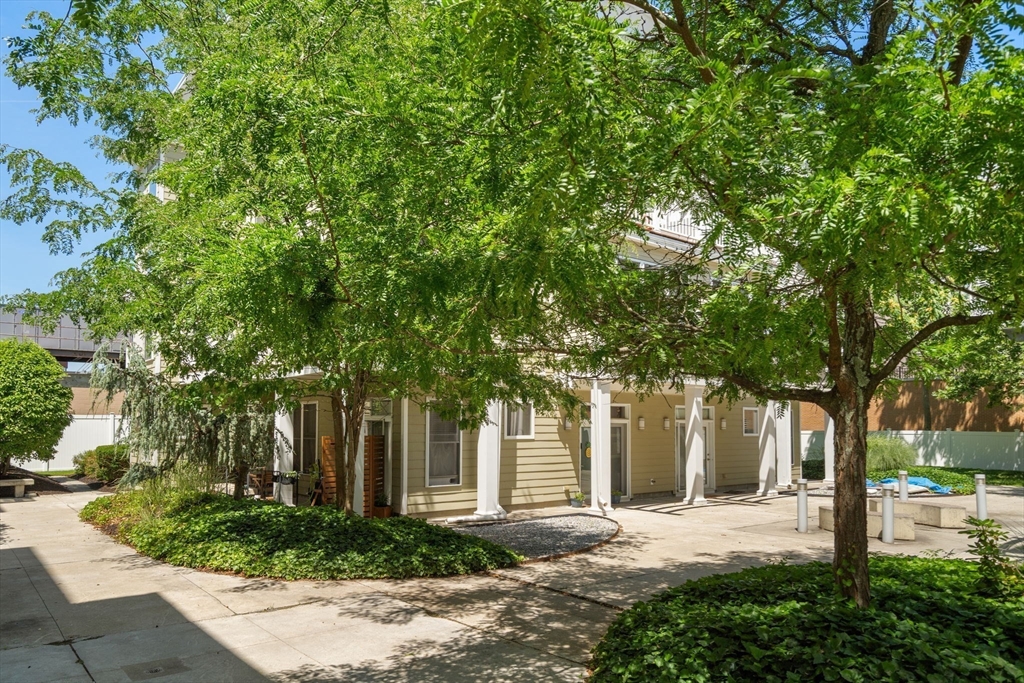 31 Wheeler Street # 303