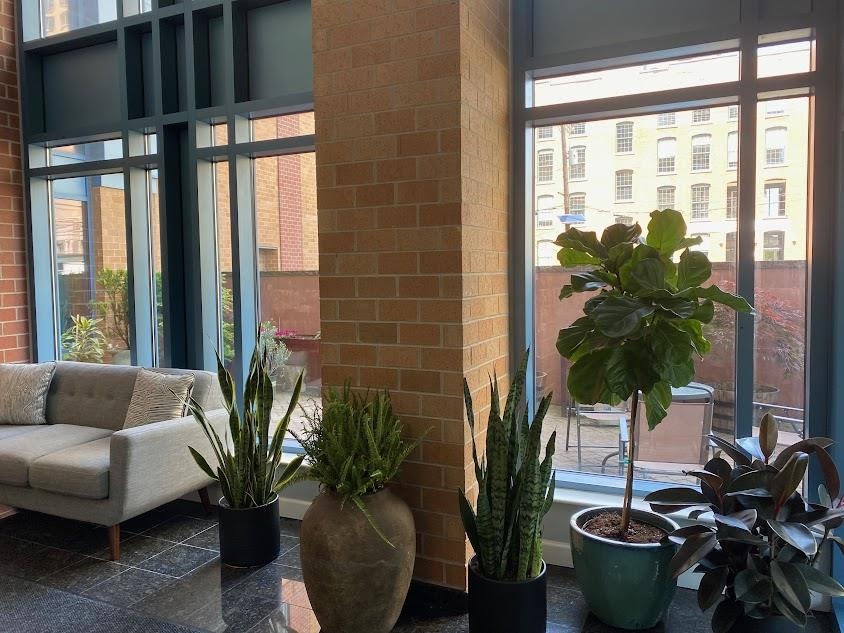 311 WASHINGTON ST Unit: 6F