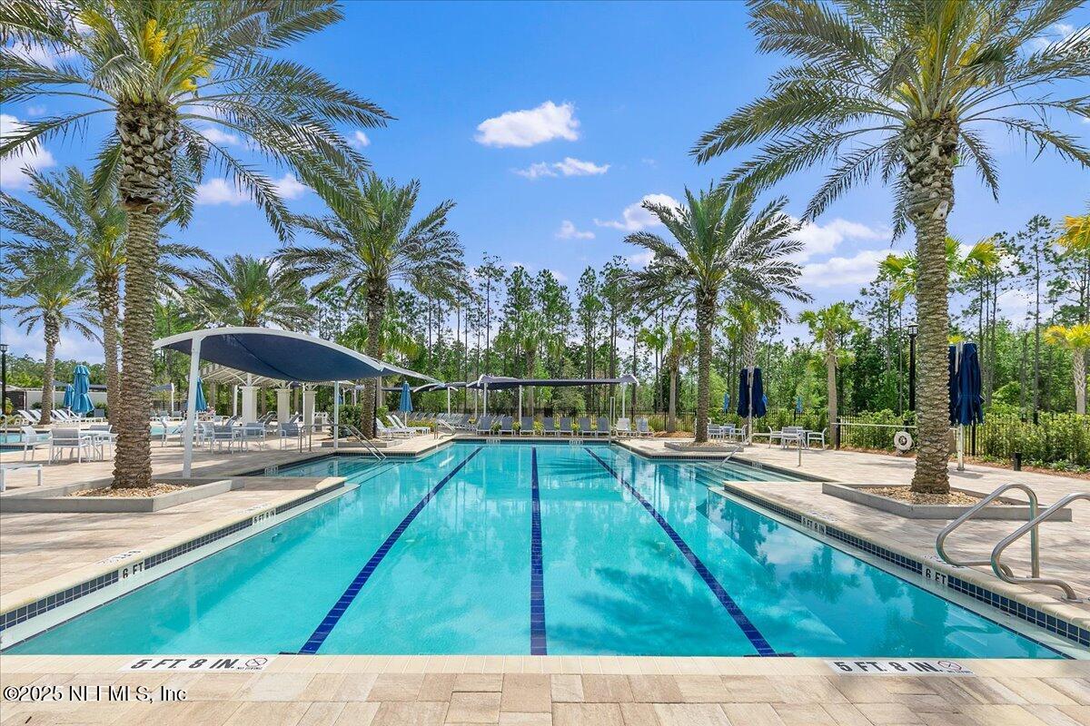 215 GRAY OWL Point