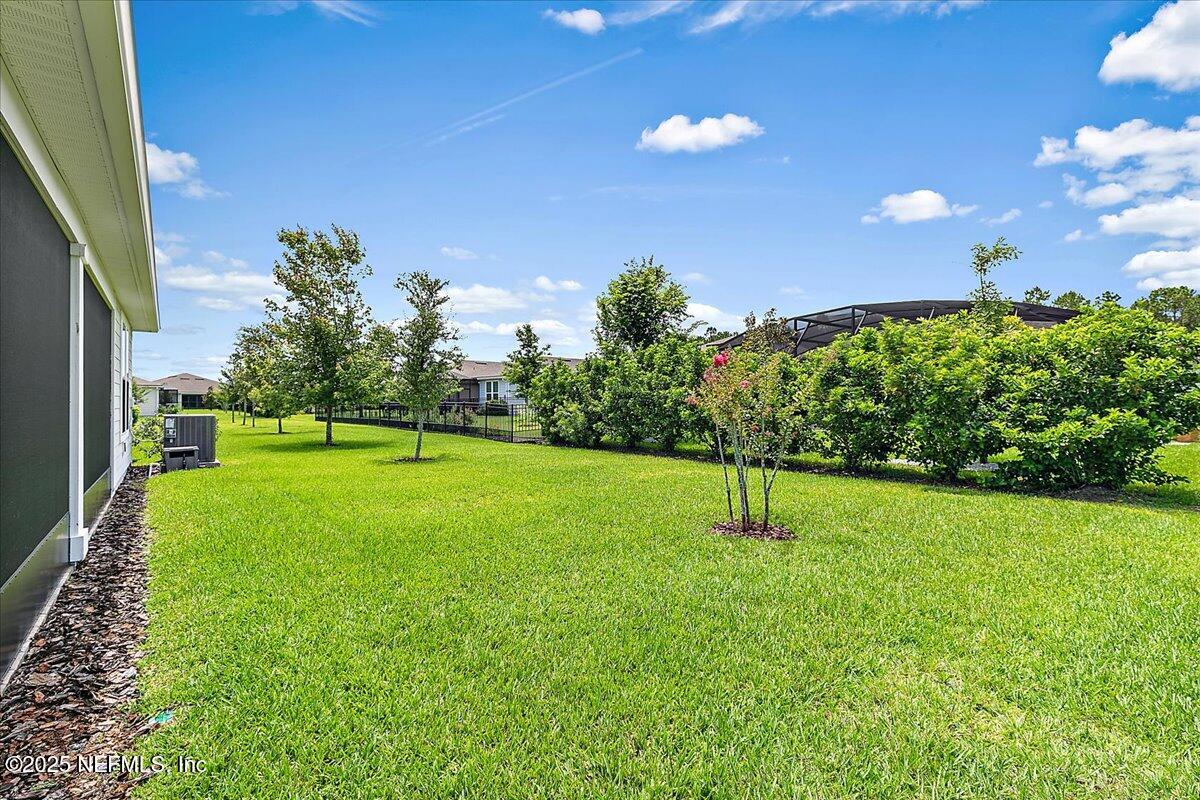 215 GRAY OWL Point