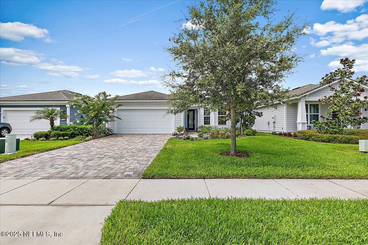 215 GRAY OWL Point