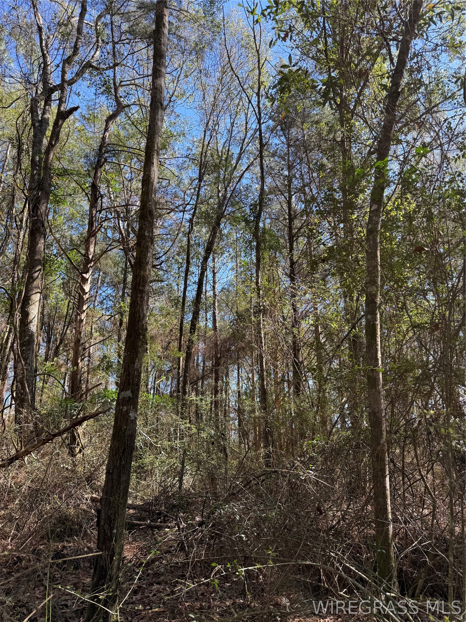0 Spring Lake Drive