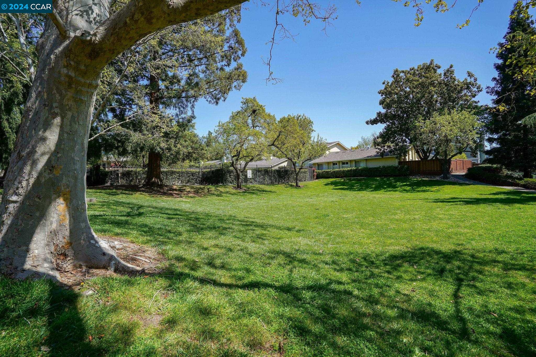 124 Fountainhead Ct.