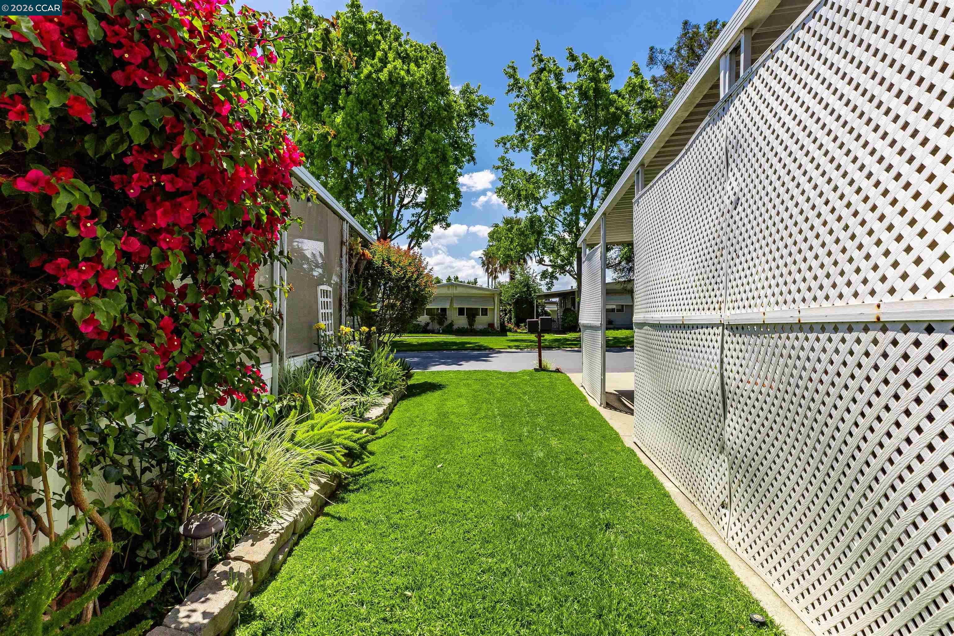 2368 Dalis Drive