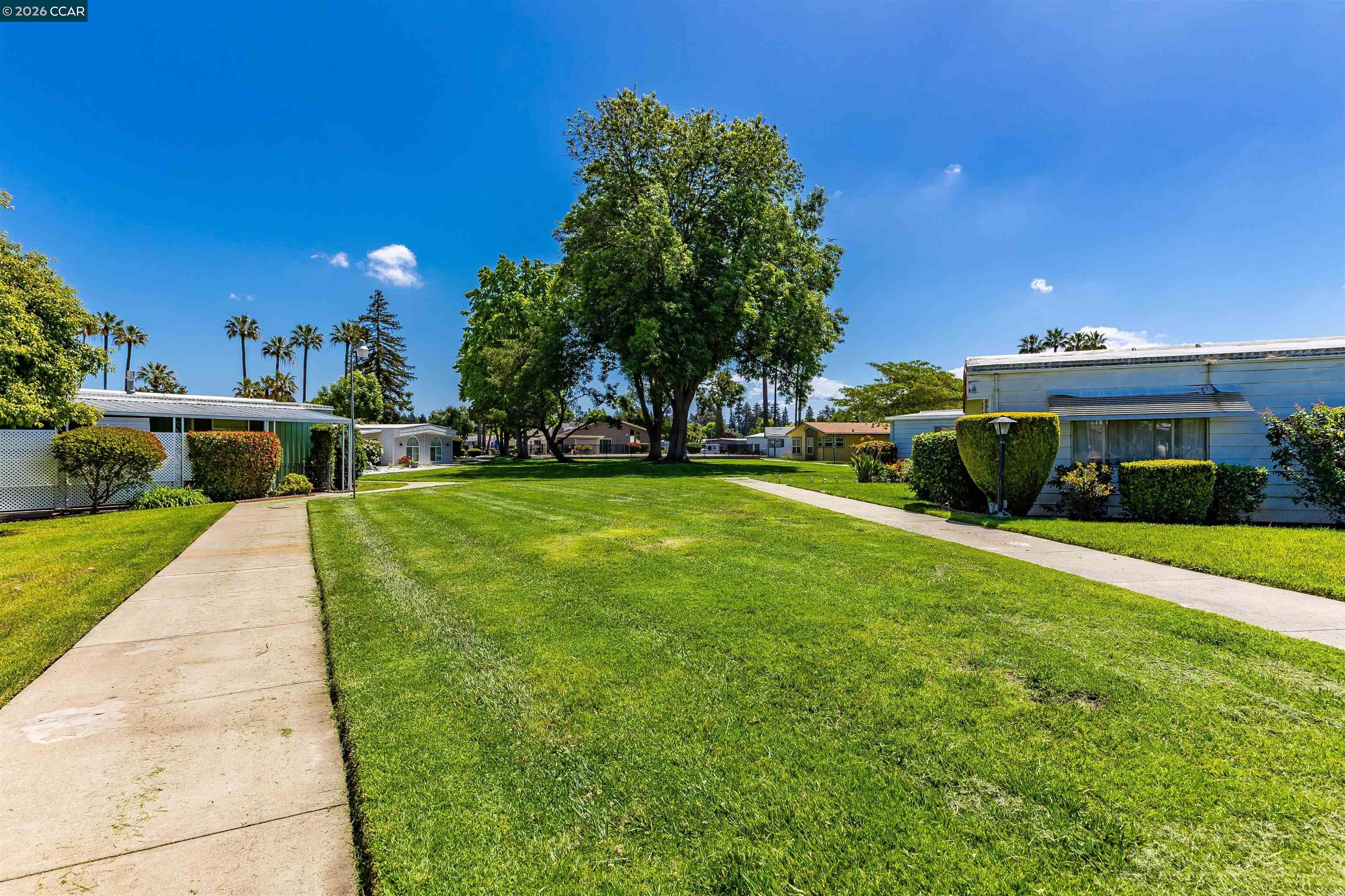 2368 Dalis Drive