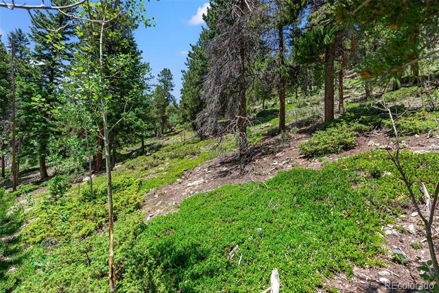 3470 Beaver Brook Canyon Road