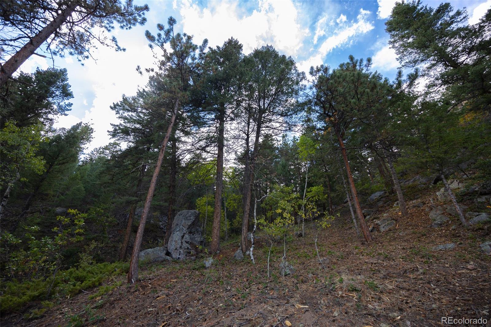 9439 S Turkey Creek Road