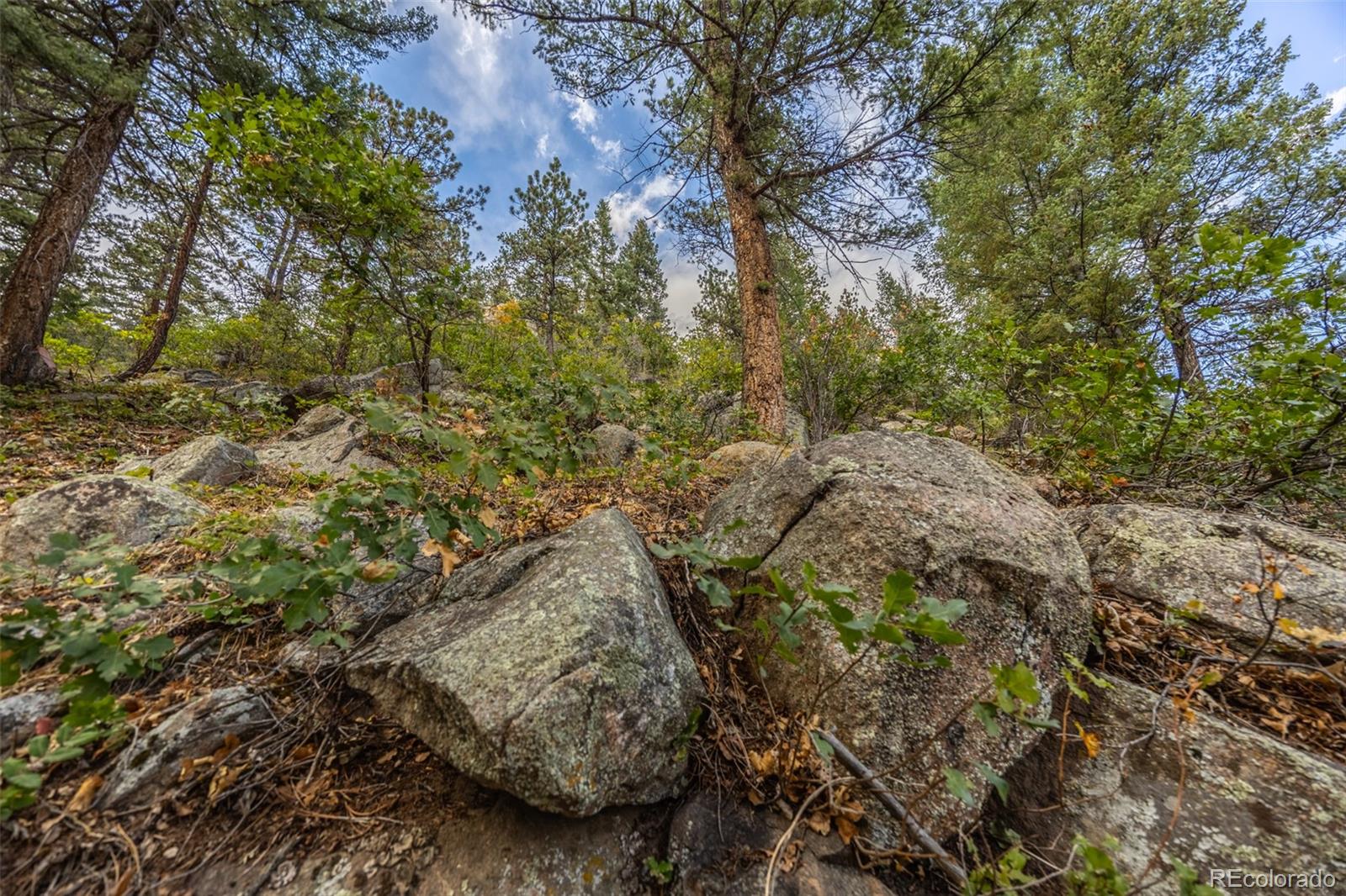 9439 S Turkey Creek Road