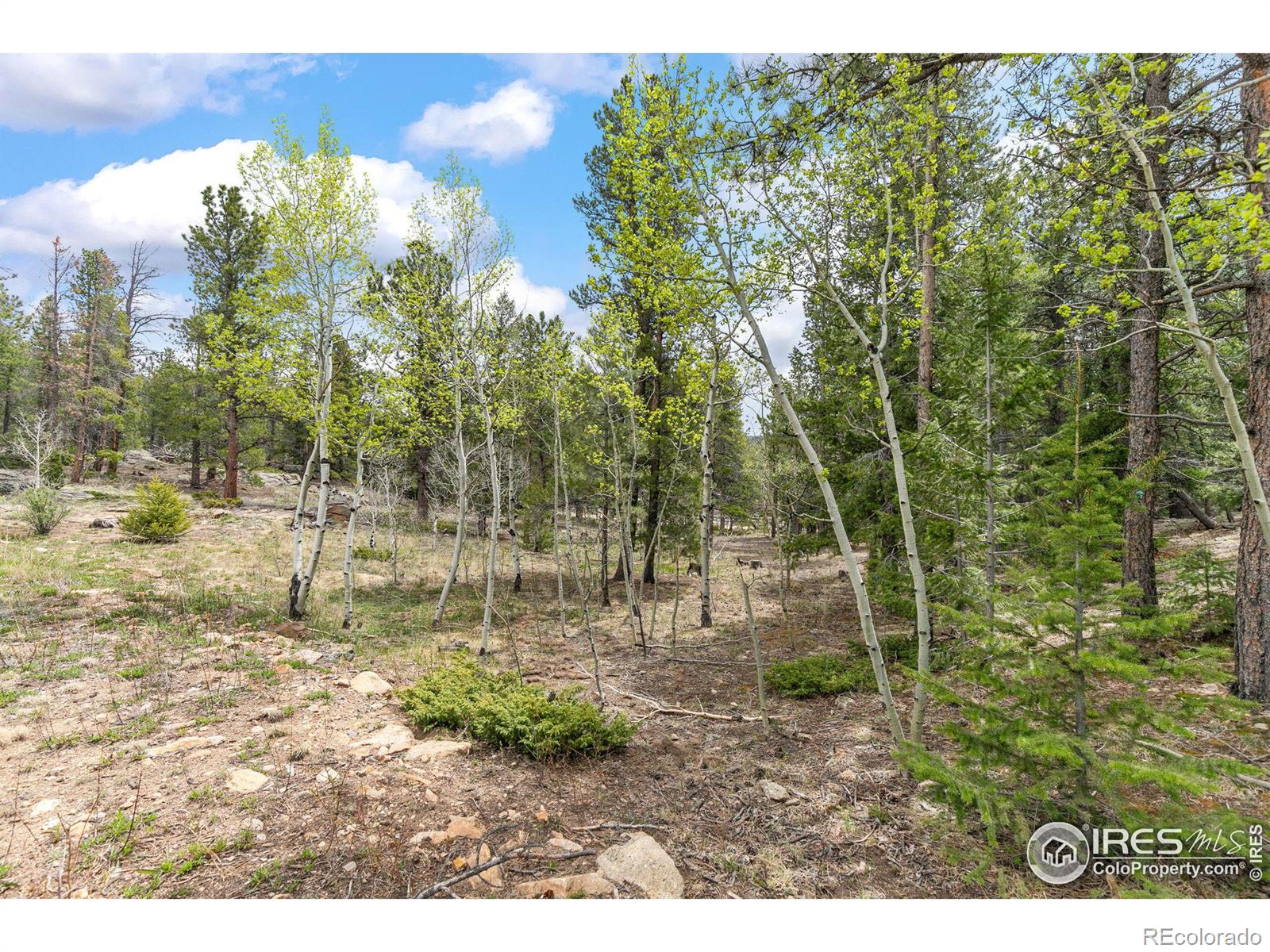 308 Pinon Circle
