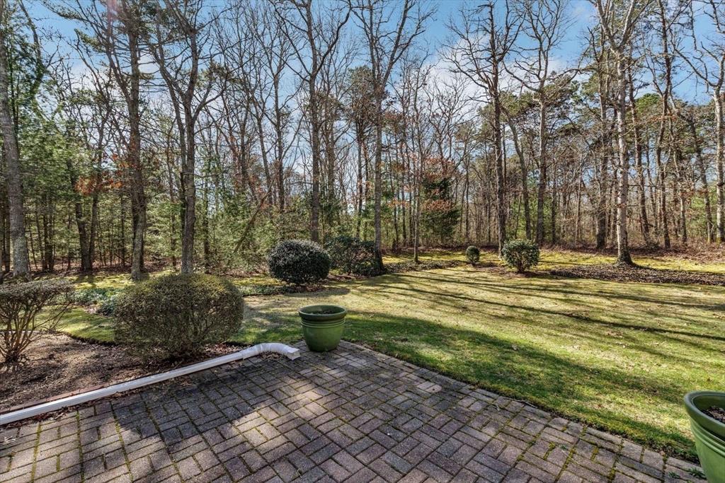 77 Saint Antons Way