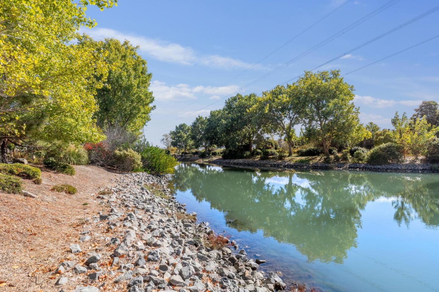 2009 Gossamer Avenue