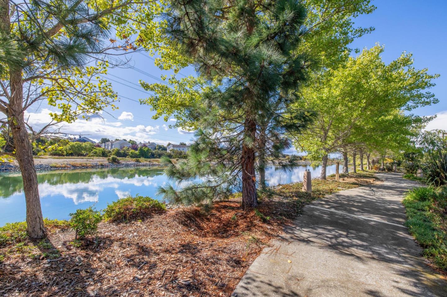 2009 Gossamer Avenue