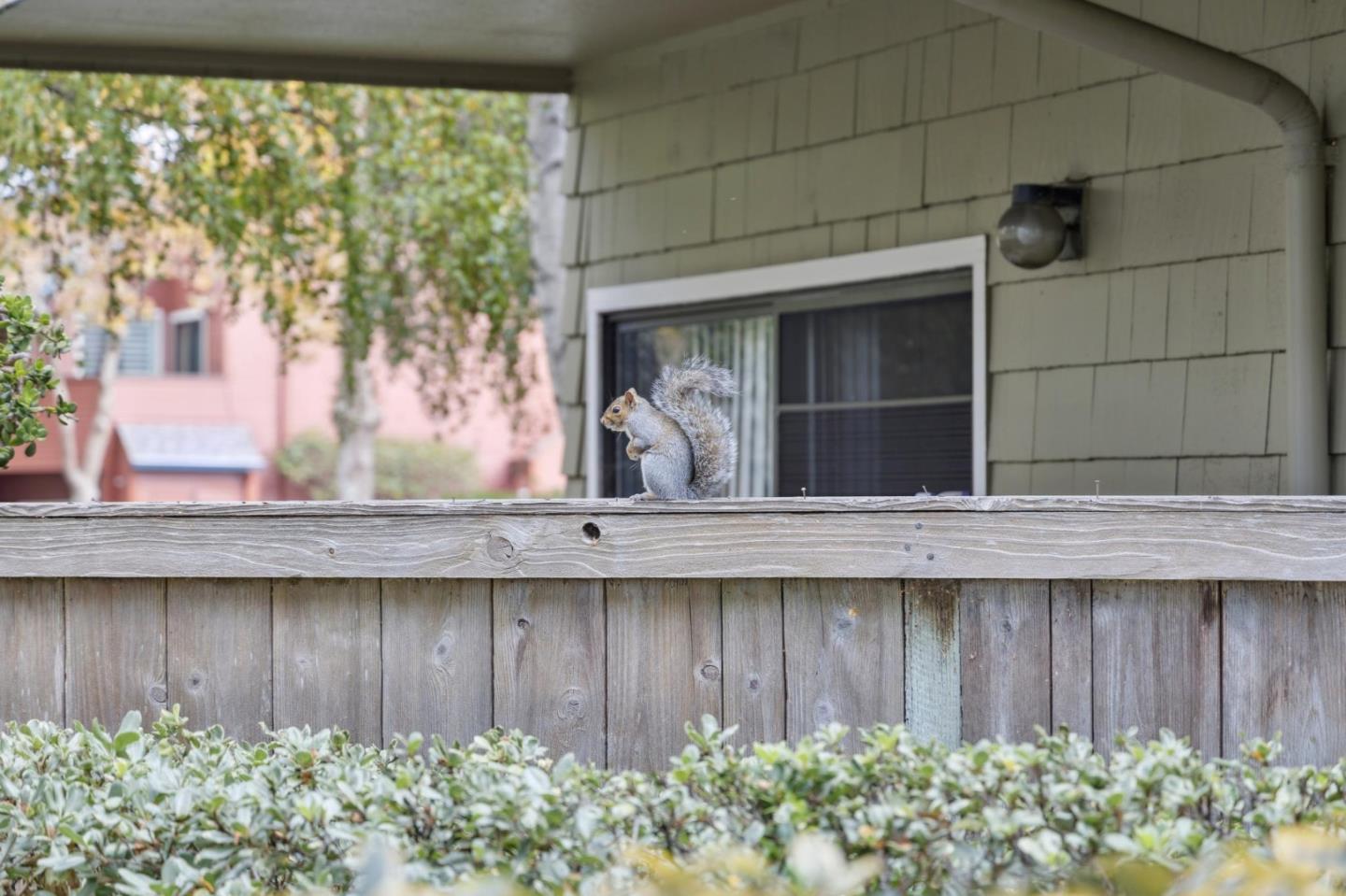 1016 Shoreline Drive