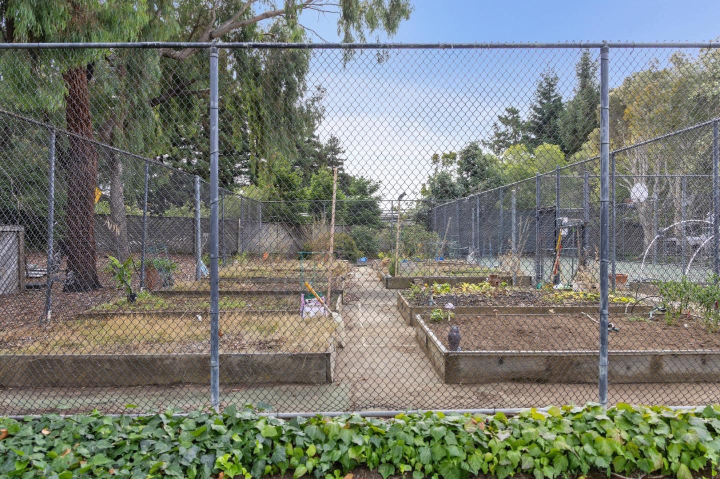 1016 Shoreline Drive