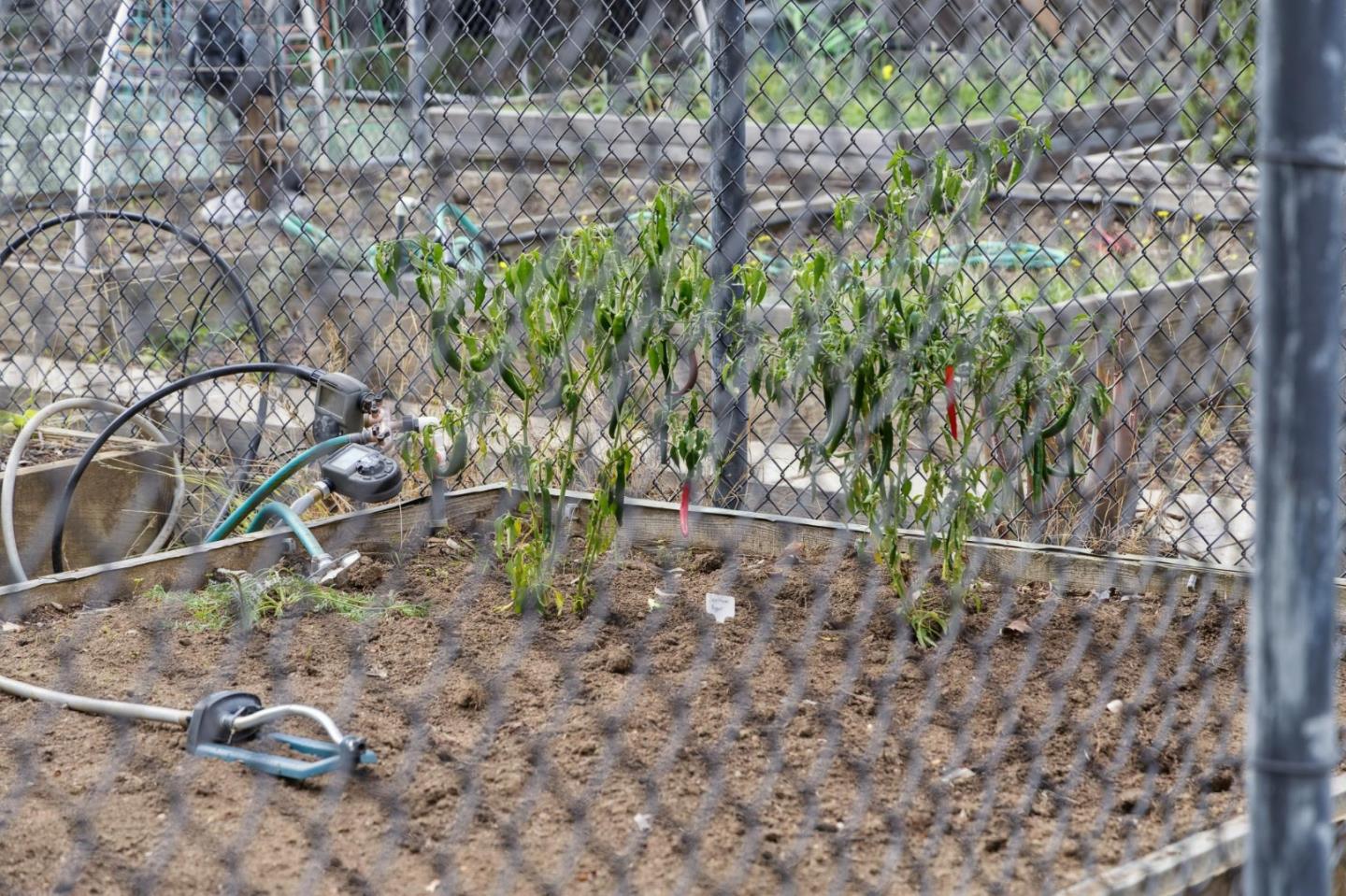 1016 Shoreline Drive