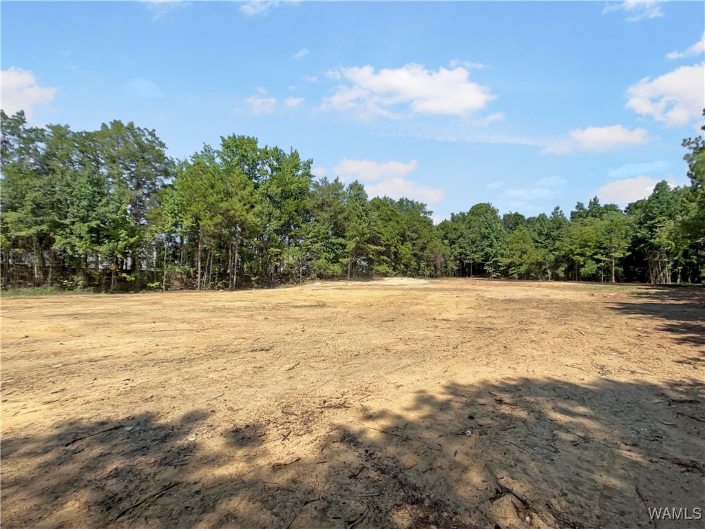 6115 18th Avenue Unit: A