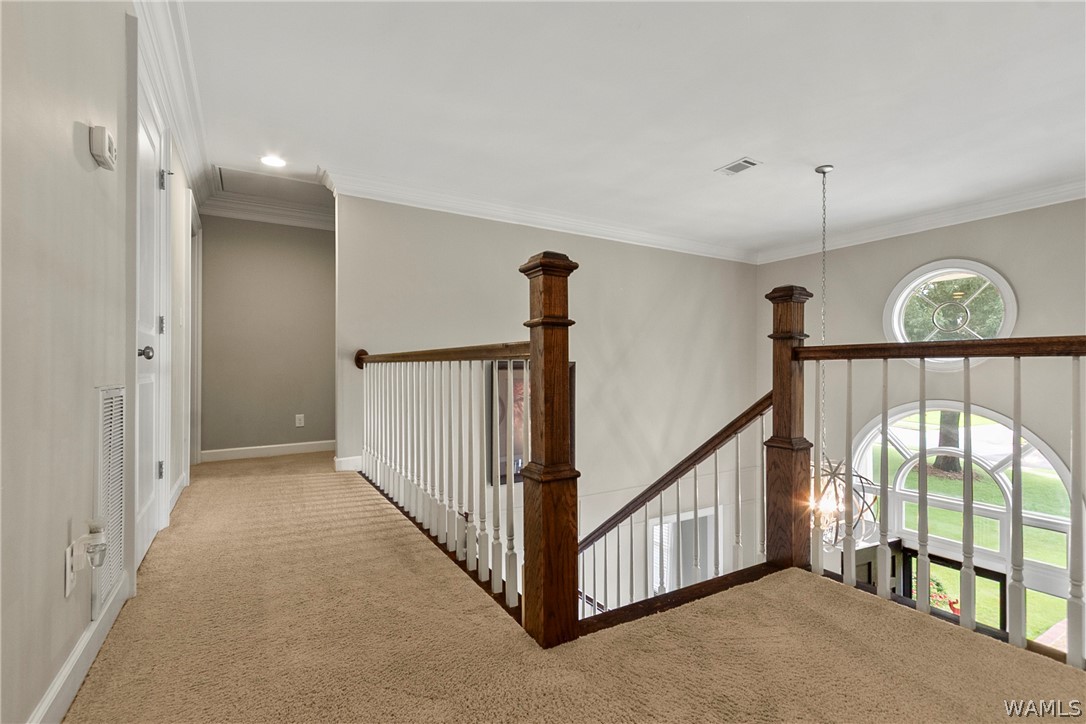2124 Westminster Lane