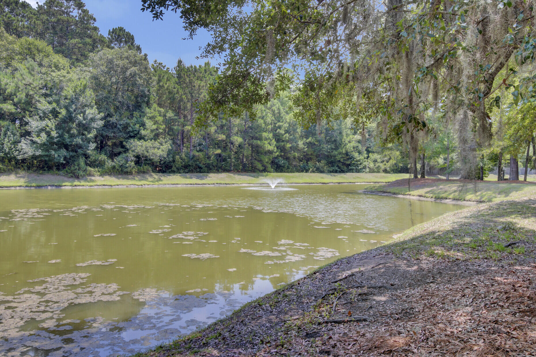 2878 Sweetleaf Lane