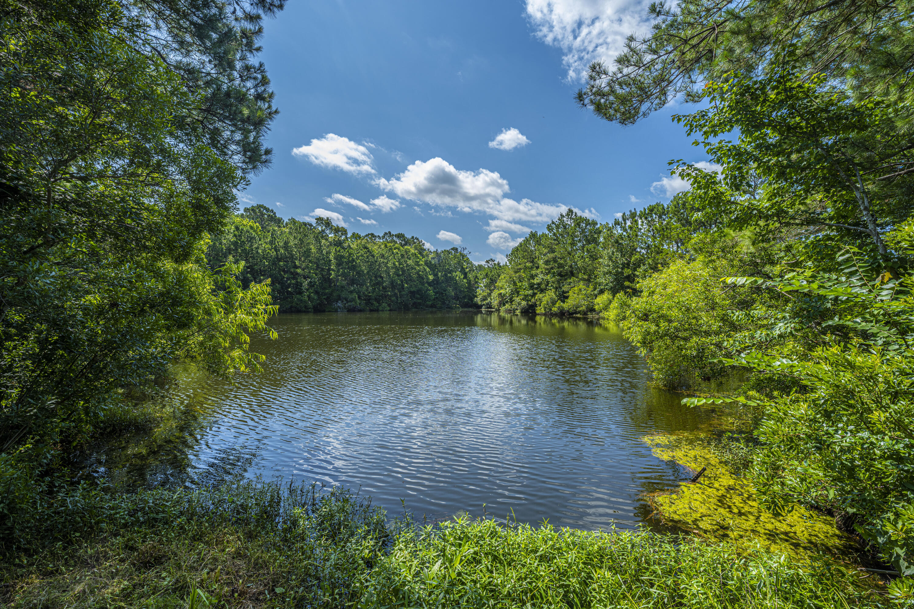 1300 Park West Boulevard # 815