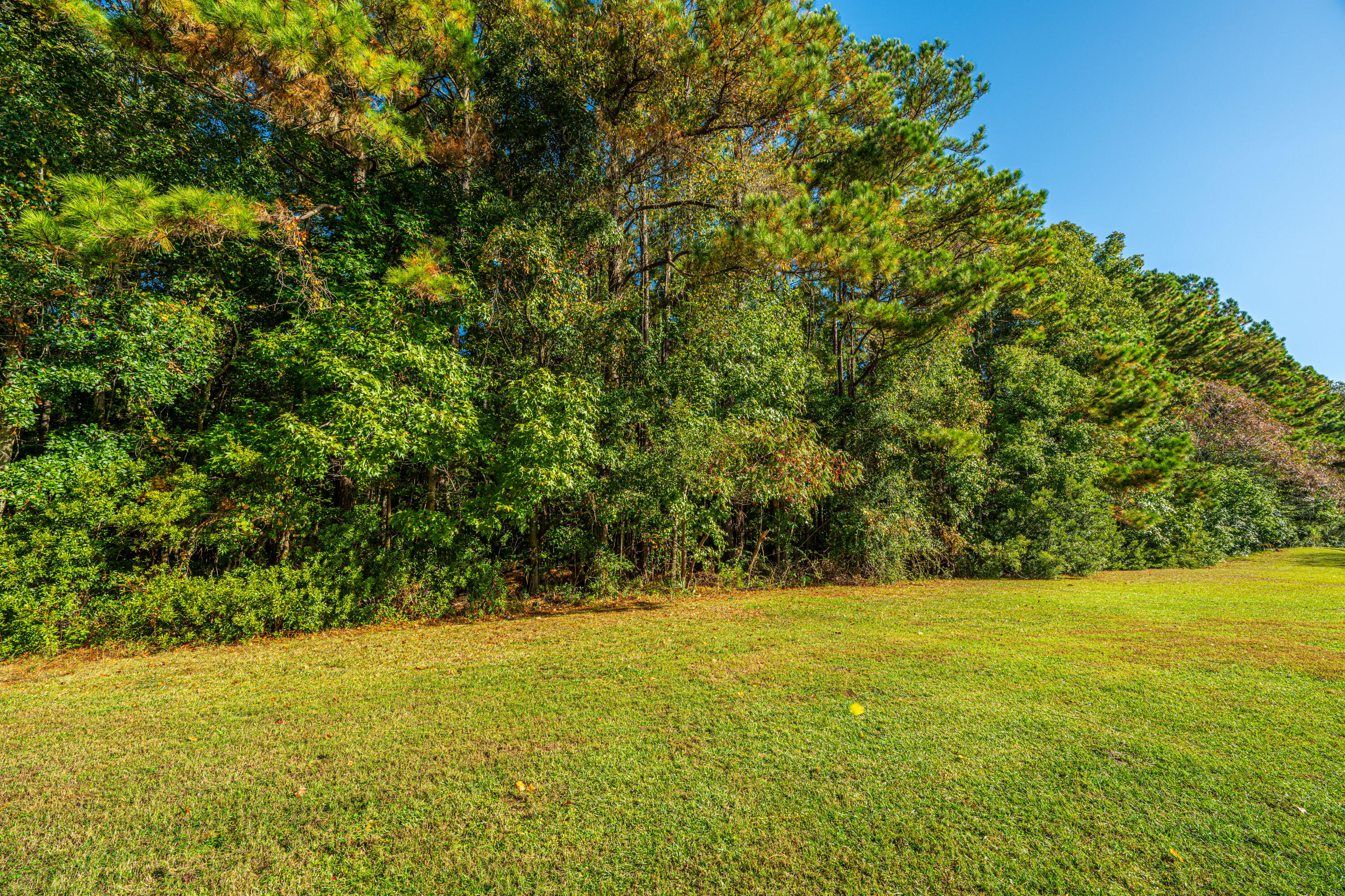 1300 Park West Boulevard # 815